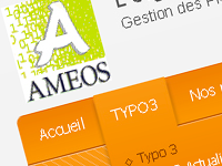 Refonte de la charte graphique pour l'agence Ameos, spécialisé dans le TYPO3